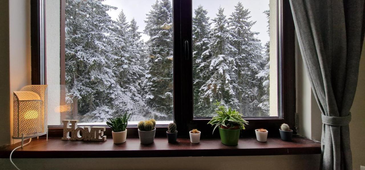Pine Tree Apartment / Borovets Gardens Экстерьер фото