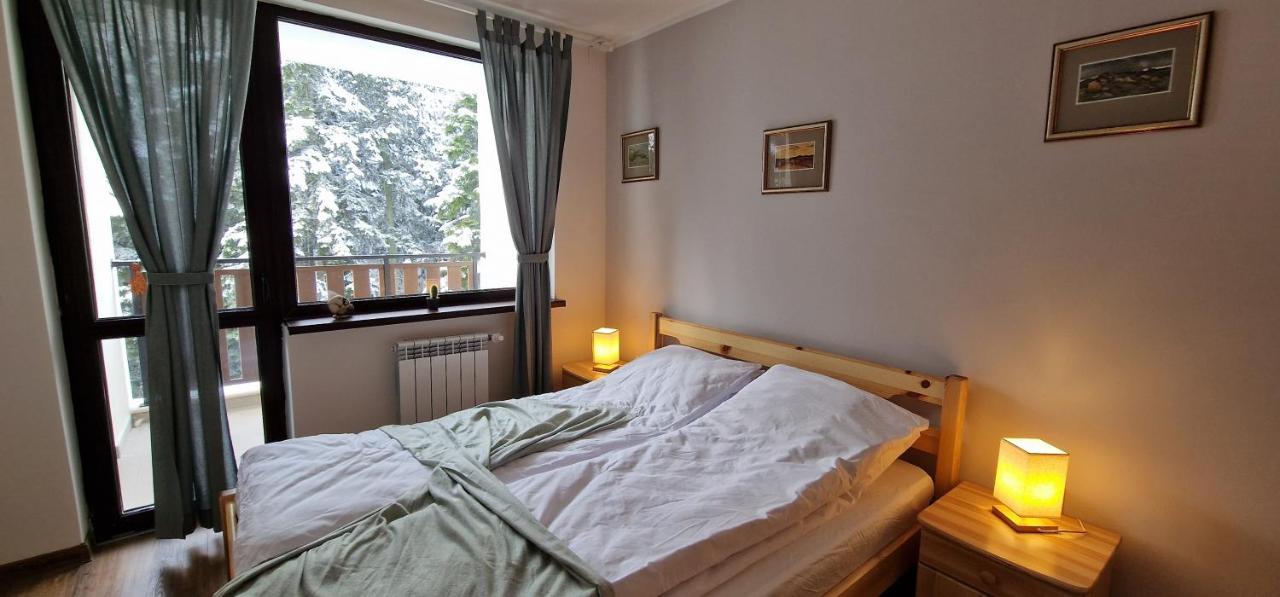 Pine Tree Apartment / Borovets Gardens Экстерьер фото